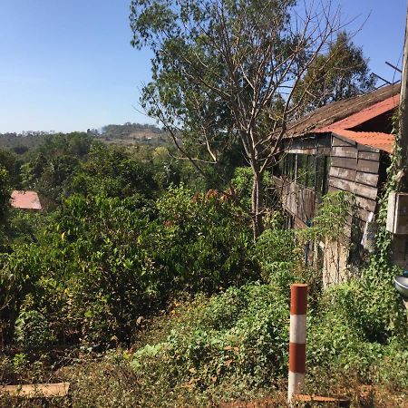 Tree Lodge سينمونوروم المظهر الخارجي الصورة